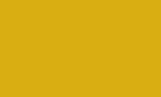HIGHFLEX/AB - 10MM - 108X95 163/GOLD