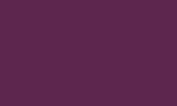 PPT-DIAFOAM EGGPLANT 3.0 MM SM/AB - 152X65CM