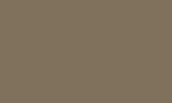 EVA-LD/60 - FS - 35MM - 160X73CM 185 TAUPE
