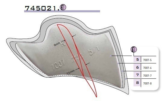 FOOT SUPPORT LATEX 7007 NR 8 