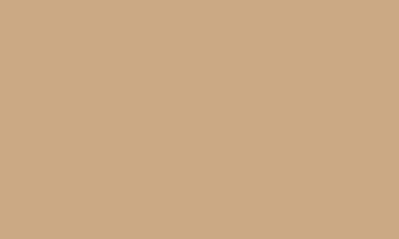P822 - PPT BEIGE 3.2 MM SM/AB - 152X65CM